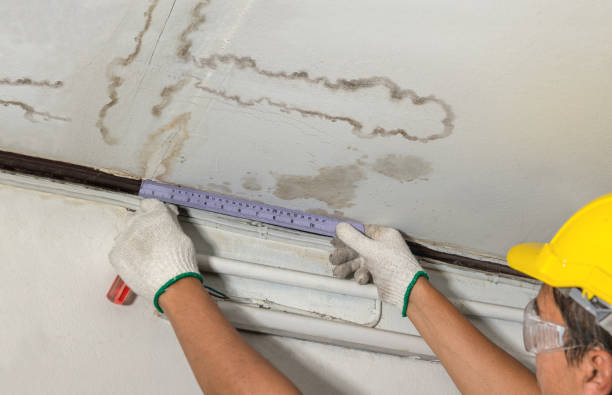 Reliable Flood Cleanup contractor in Mount Holly, NJ by Water Damage Irwin
